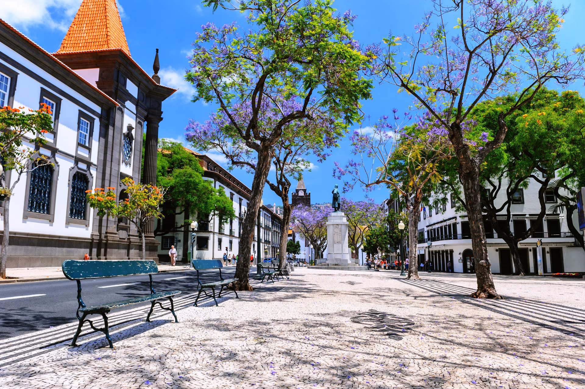 IBCM Tax Regime: How Madeira's 5% Corporate Tax Rate Works